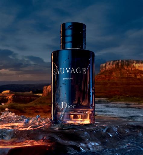 perfume dior savauge|dior sauvage price.